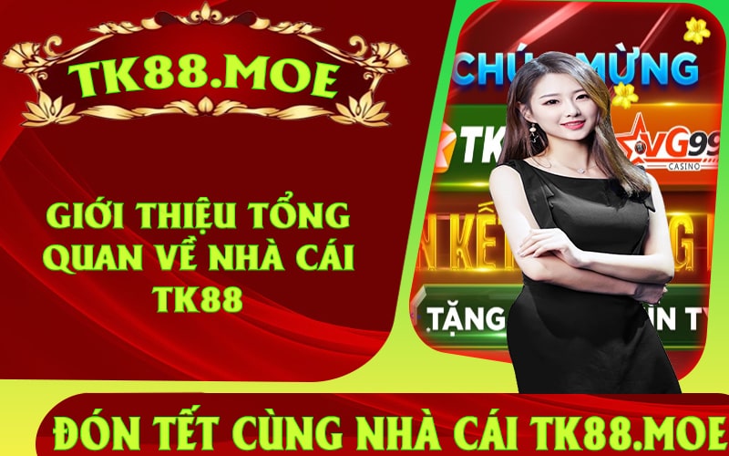Tổng Quan về Nhà Cái TK88